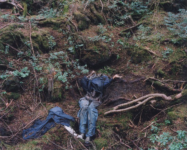 Image result for suicide forest japan