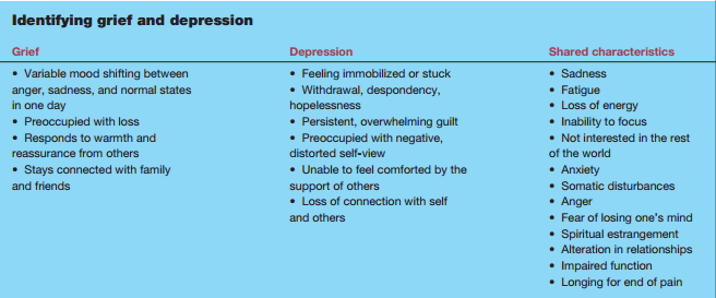 CONFESSIONS OF A FUNERAL DIRECTOR Should We Medicate Grief 