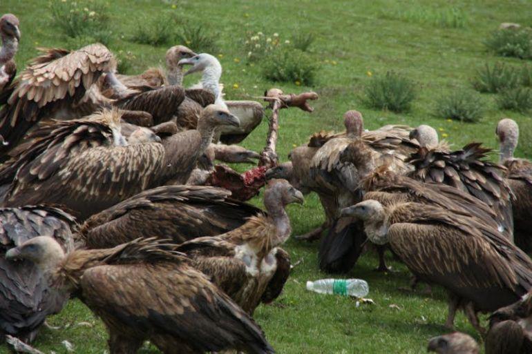 CONFESSIONS OF A FUNERAL DIRECTOR » Tibetan Sky Burial: 36 Photos