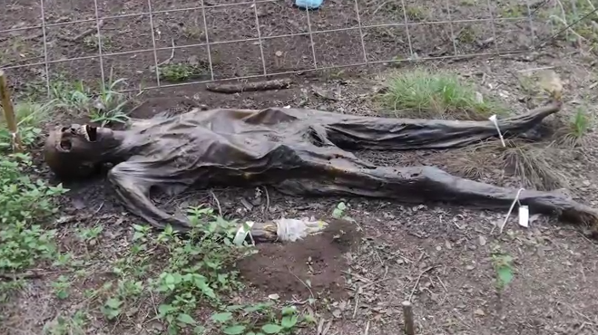 The fascinating process 2 of human decomposition   YouTube